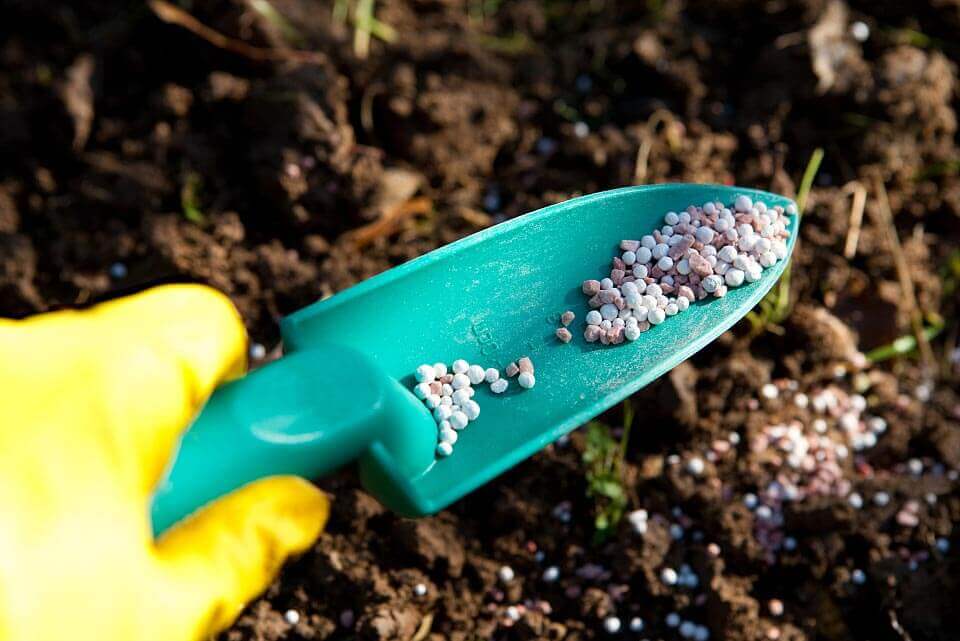 螯合剂：助力可持续高效农业生产的关键力量