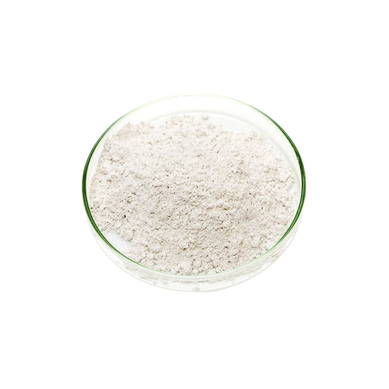 L 天冬氨酸（L Aspartic Acid）